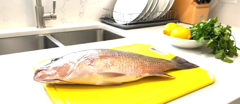 Mangrove Snapper in kitchen