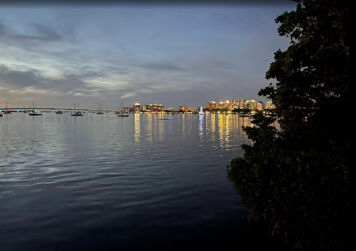 Explore the complex ecology of Sarasota Bay, an Estuary of National Significance. Learn about seagrass meadows, mangrove shorelines, and the critical role of oyster reefs in maintaining the Gulf Coast’s natural machine