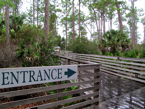 Corkscrew Swamp Sanctuary