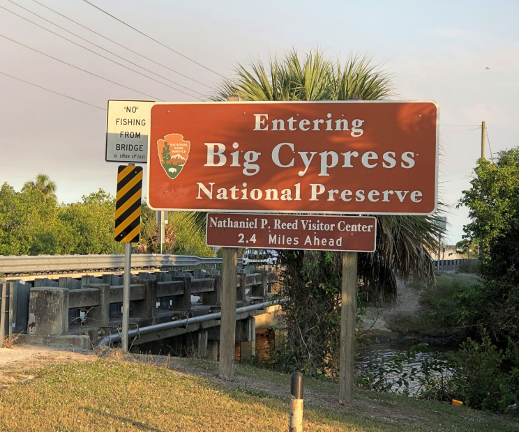 Big Cypress Preserve